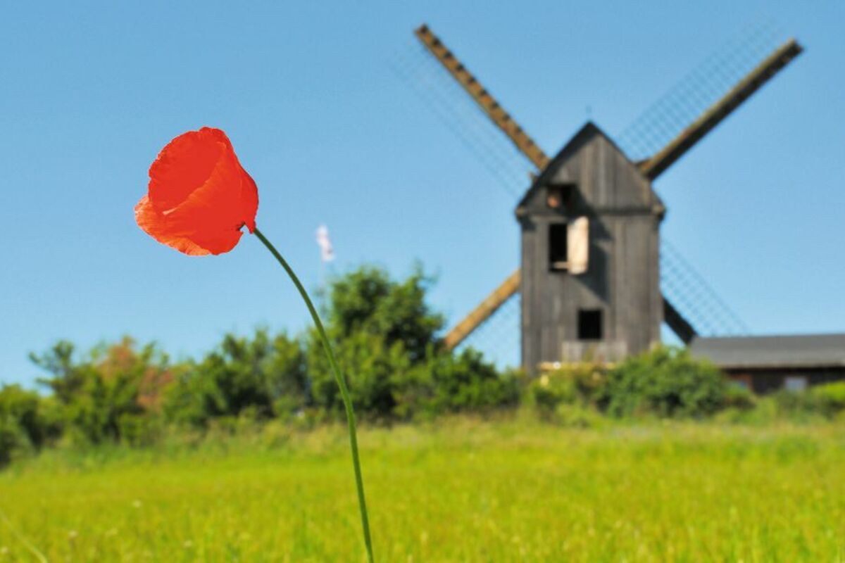 © Dr. J. Beller - Fotolia
