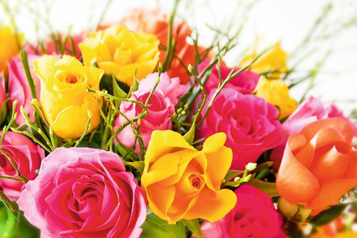 © PhotoSG - Fotolia