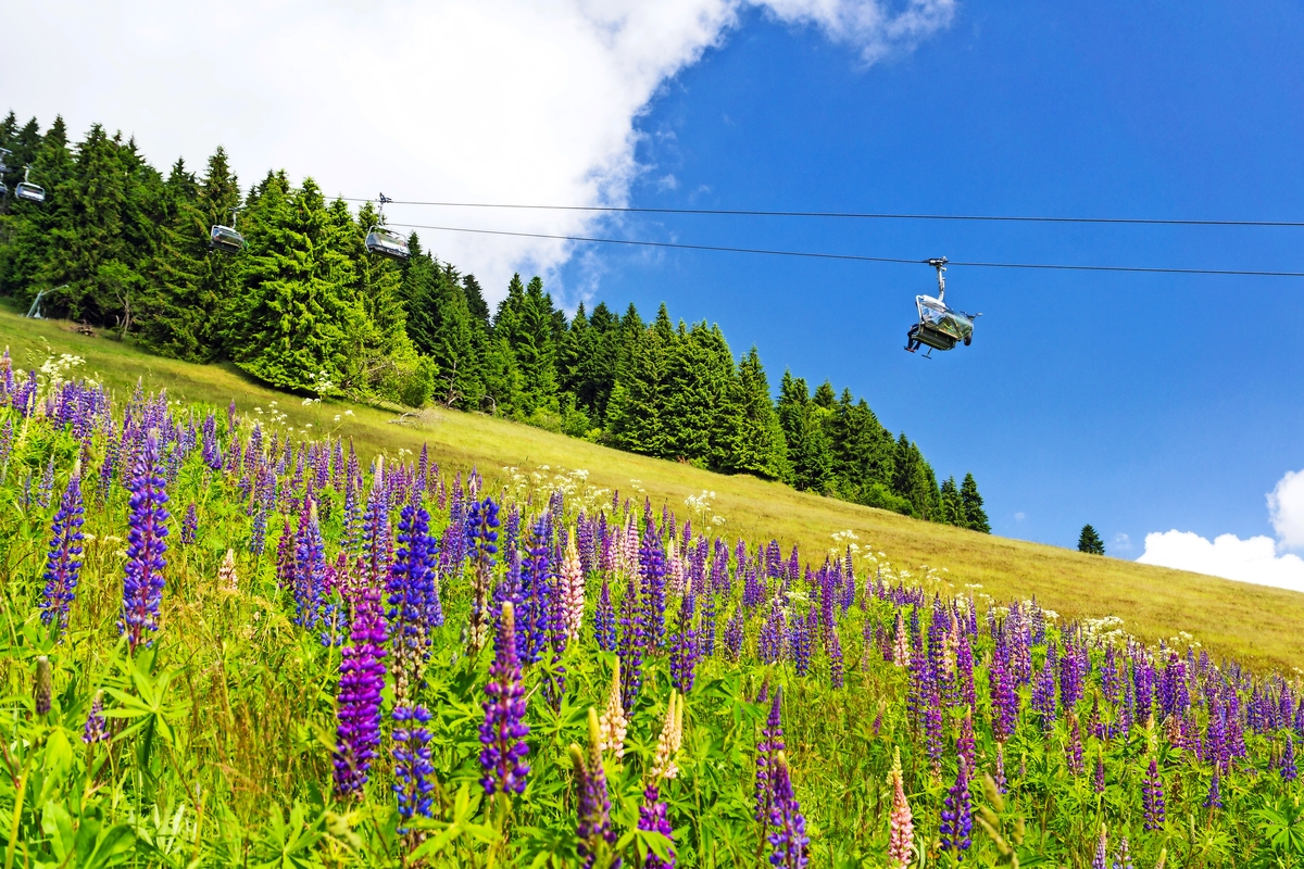 © Michael Eichler - stock.adobe.com