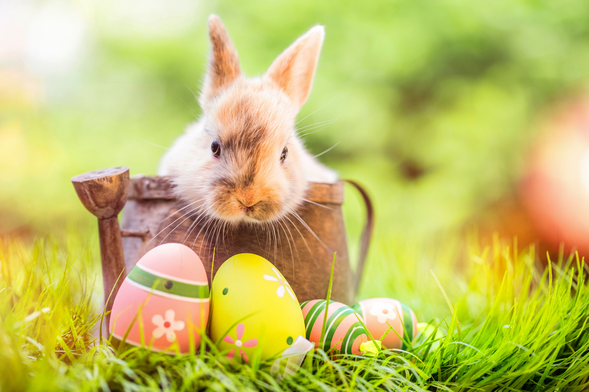 © drubig-photo - stock.adobe.com