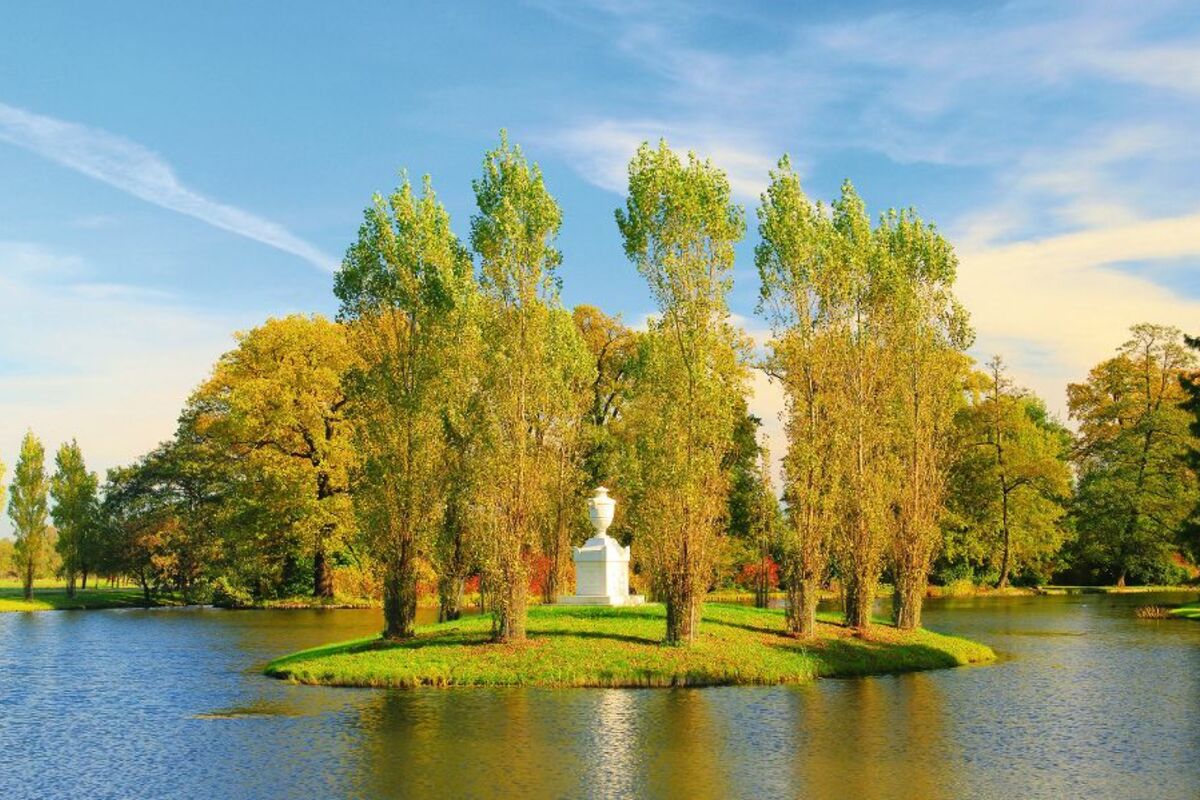 © LianeM - Fotolia