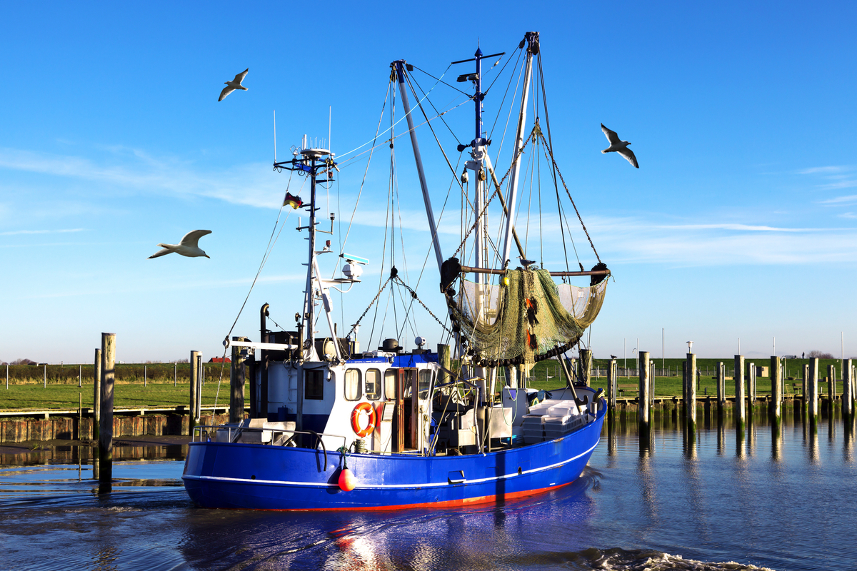 ©Gabriele Rohde - stock.adobe.com