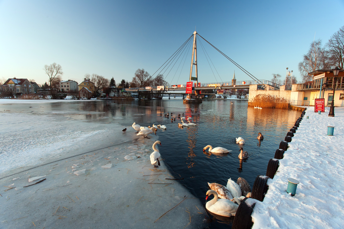 © Maciej - stock.adobe.com