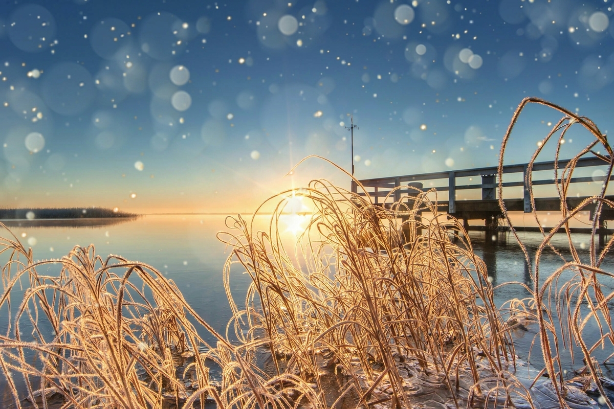 ©haiderose - stock.adobe.com