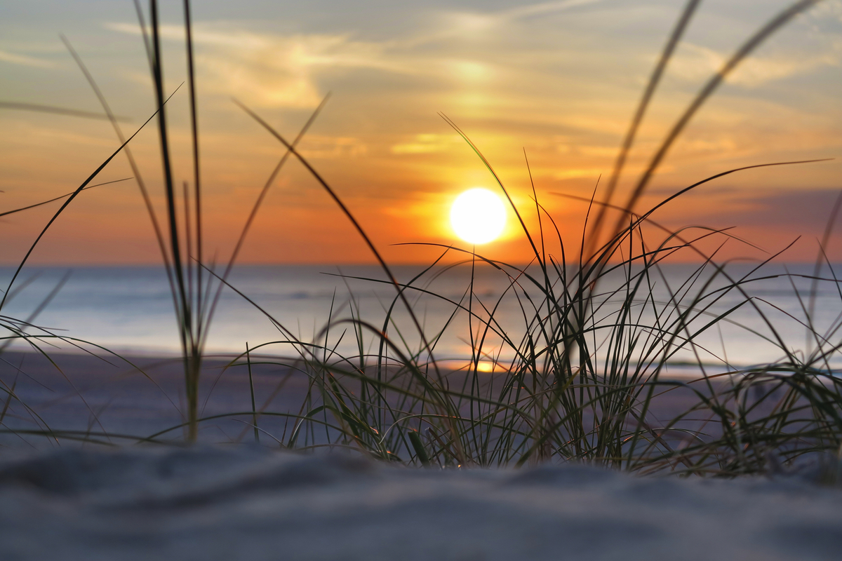© Wilm Ihlenfeld - stock.adobe.com