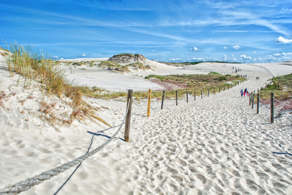 © Michael Sierdzinski - stock.adobe.com
