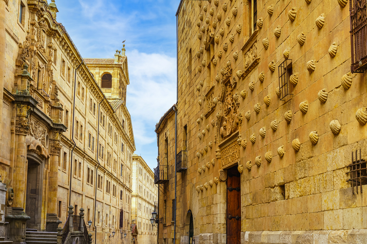 © josemiguelsangar - stock.adobe.com