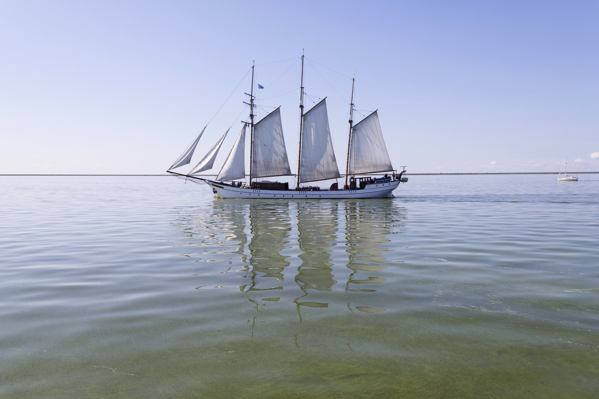 ©Joop Hoek - stock.adobe.com