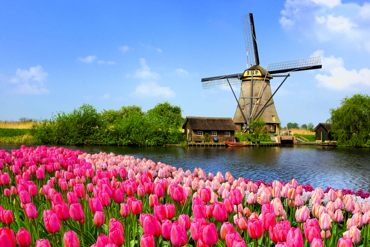 © Jenifoto - stock.adobe.com