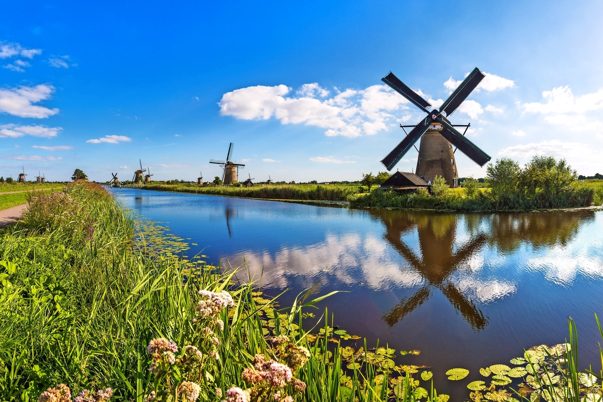 © Sergii Figurnyi - stock.adobe.com