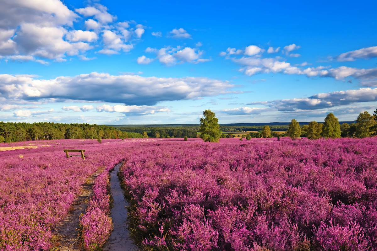 © BVpix - Fotolia