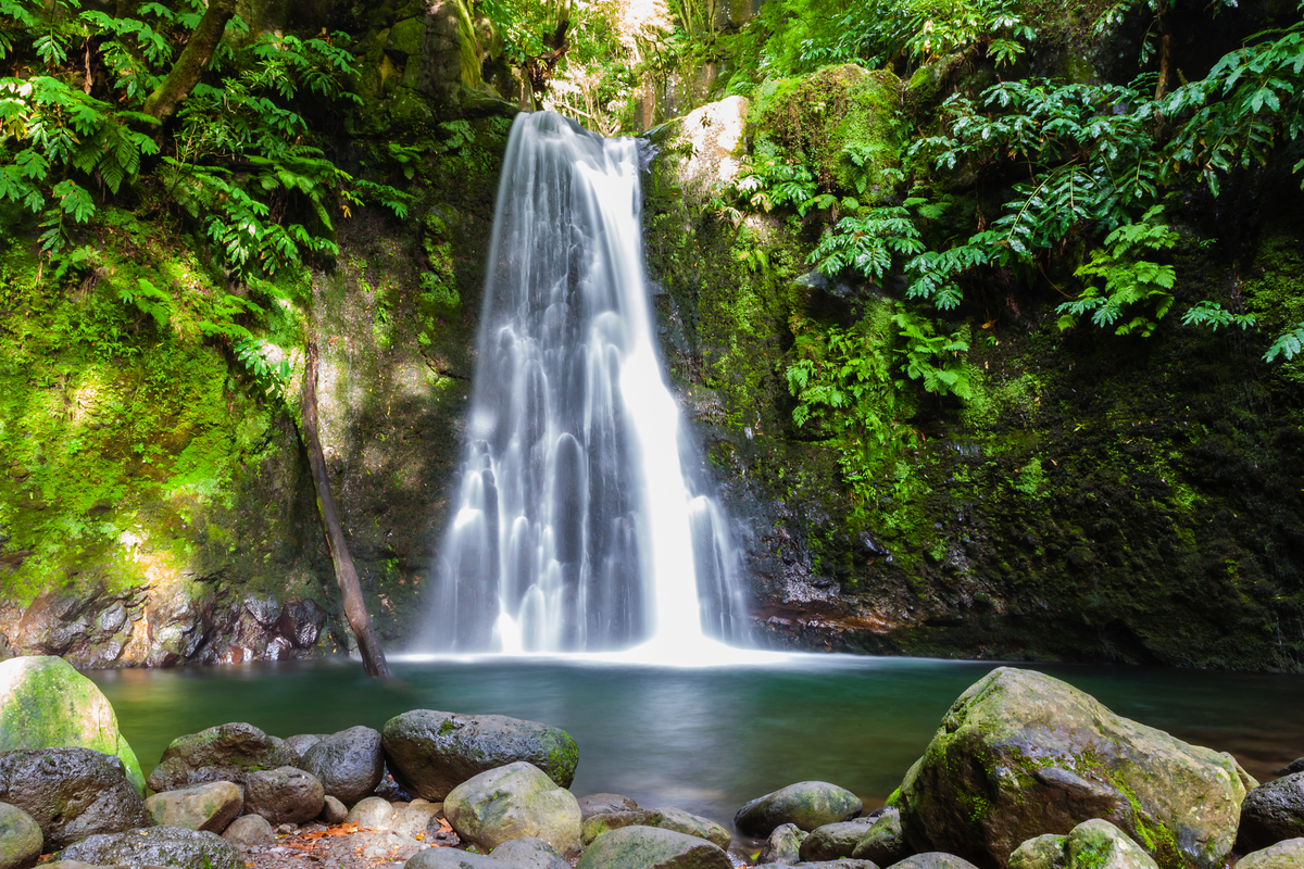 © suzette77 - stock.adobe.com