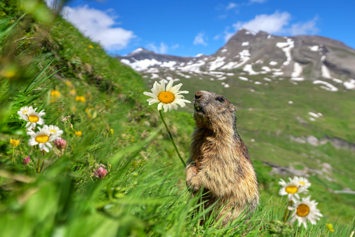 © Jenny Sturm - stock.adobe.com