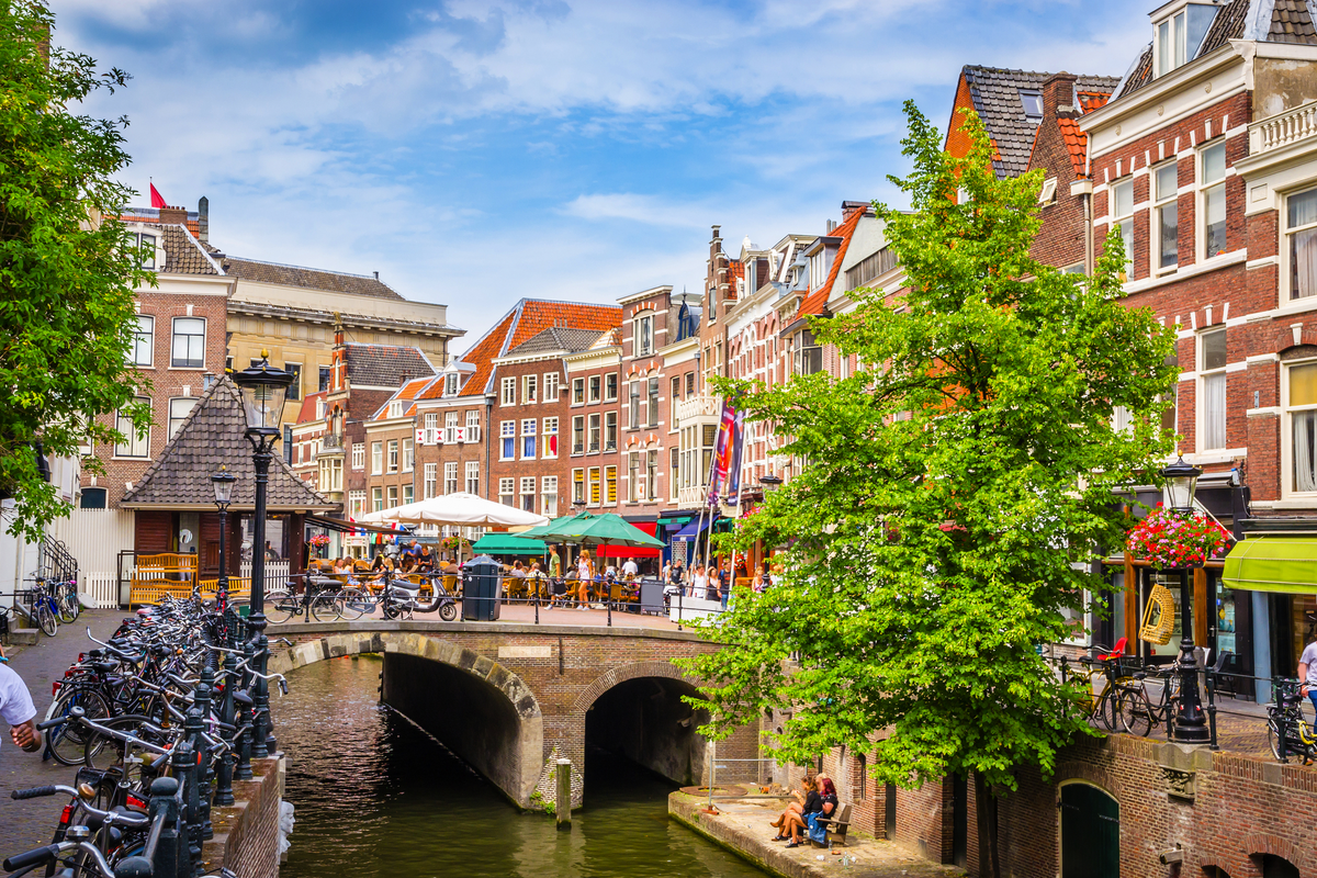 © Olena Zn - stock.adobe.com