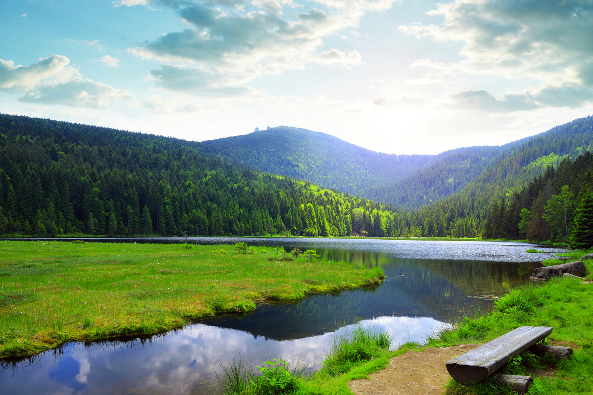 © vencav - stock.adobe.com