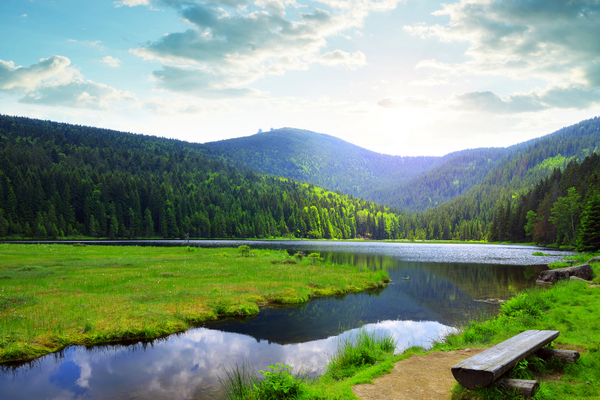 Bayerischer Wald