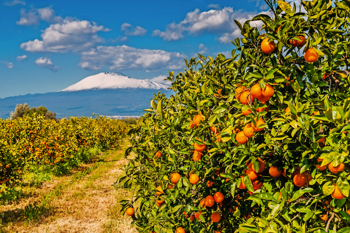 © majonit - stock.adobe.com