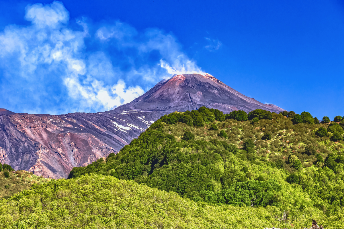 ©Dieter Meyer - stock.adobe.com