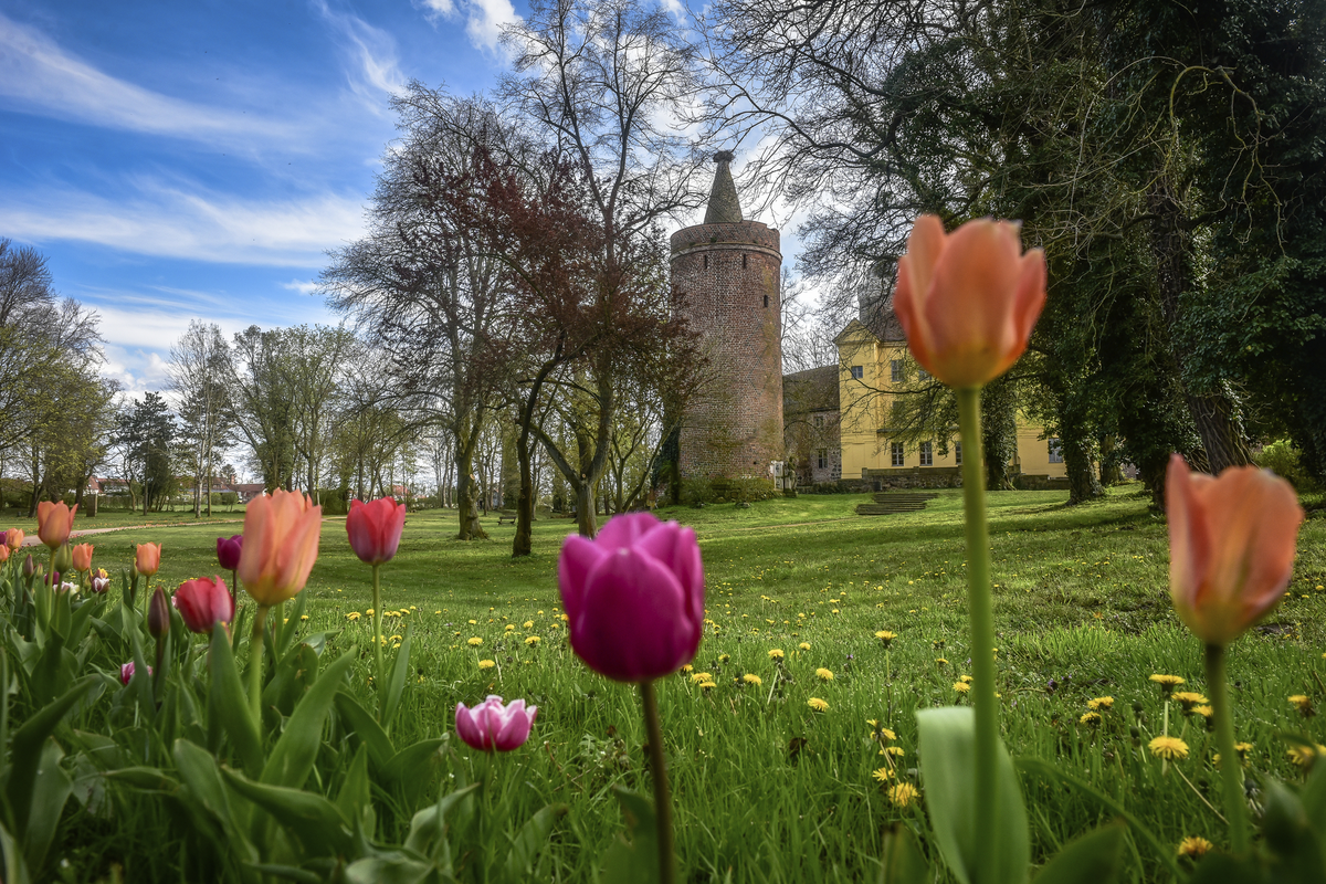 © Burg Ziesar
