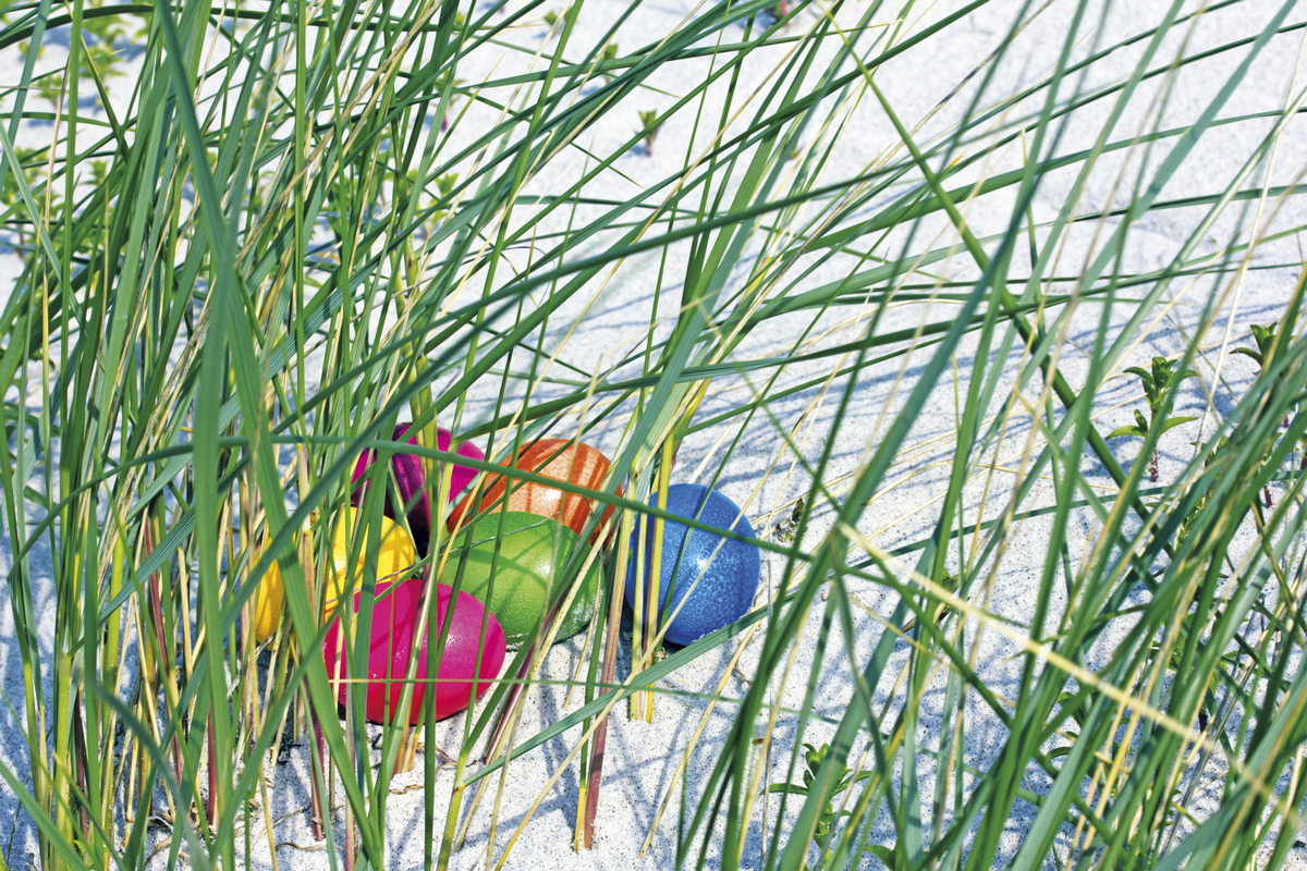 © Eric Nordas - Fotolia