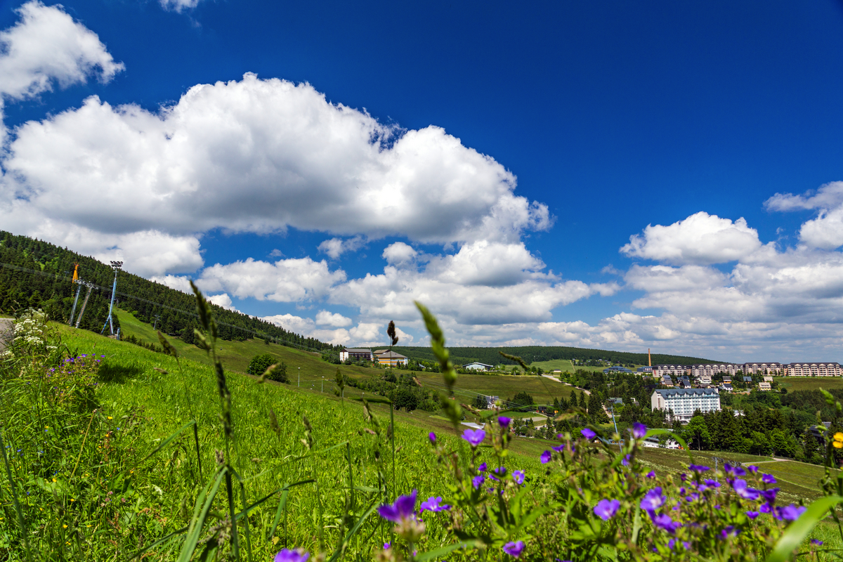 ©Stephanie Eichler - stock.adobe.com