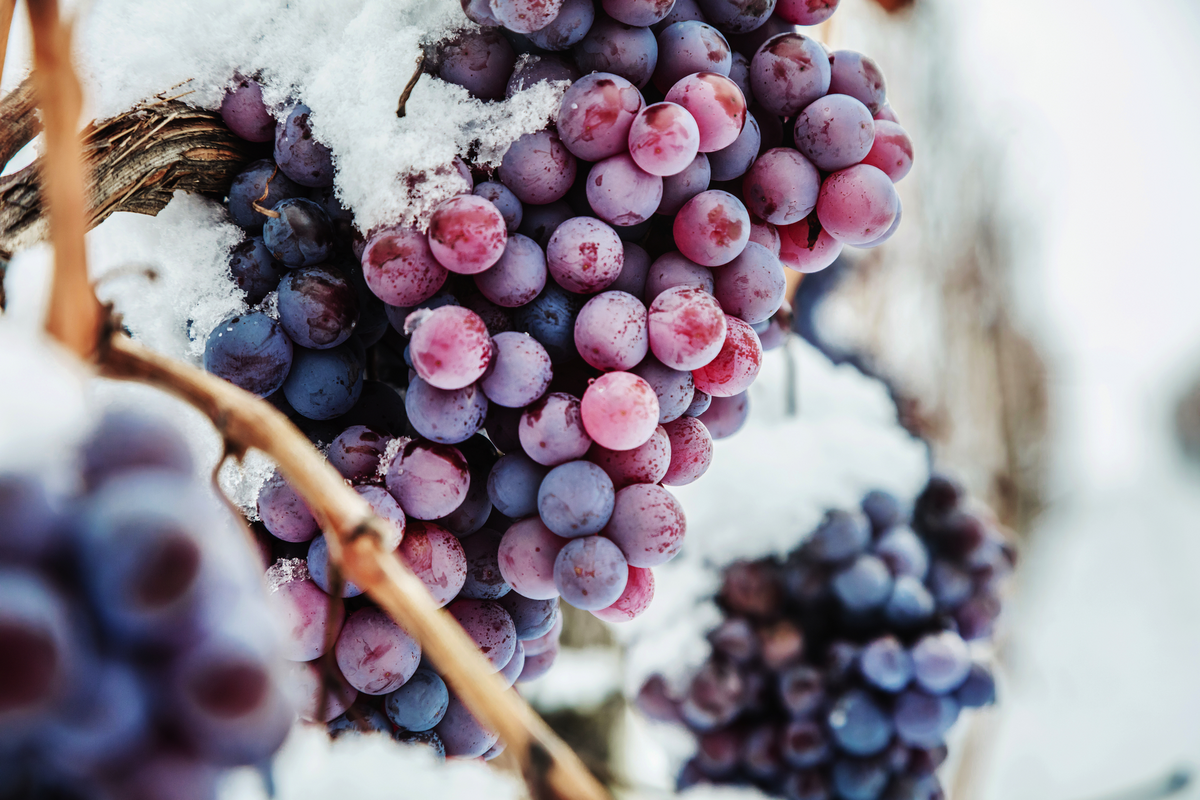 © karepa - stock.adobe.com