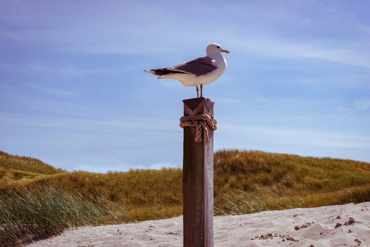 ©Countrypixel - stock.adobe.com