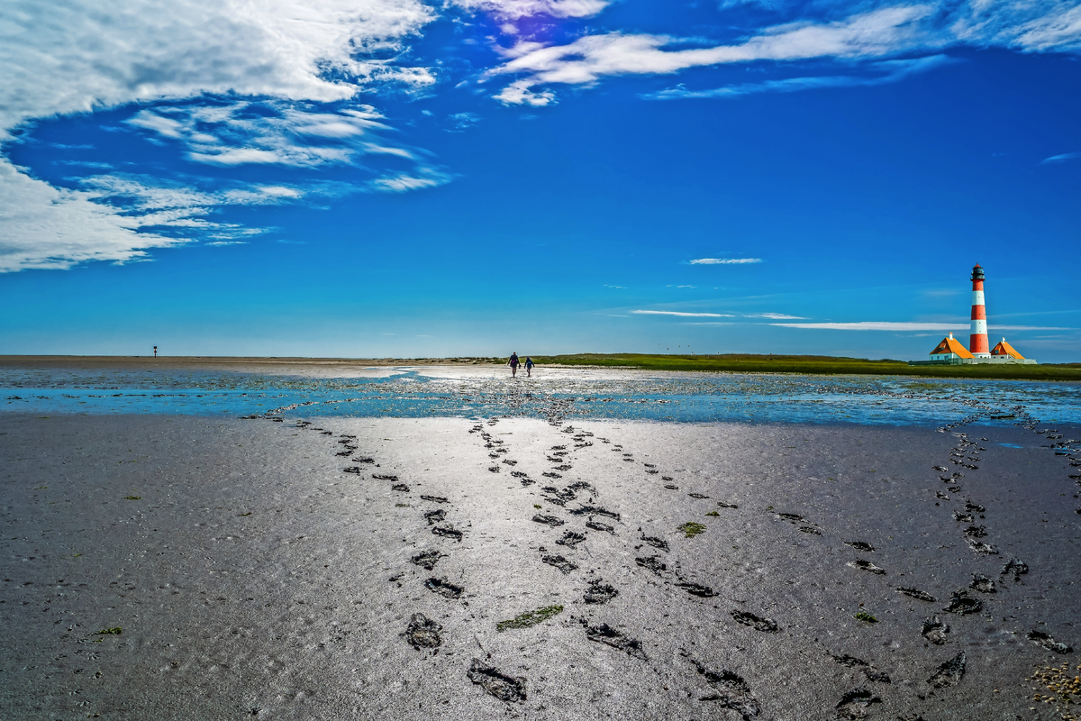 © animaflora - stock.adobe.com